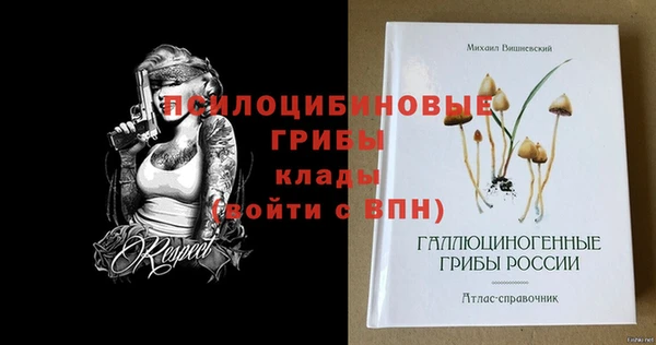 mdpv Горнозаводск