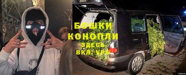 сатива Горно-Алтайск