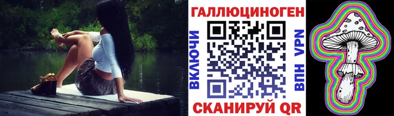 Купить  Злынка  Галлюциногенные грибы Psilocybe 